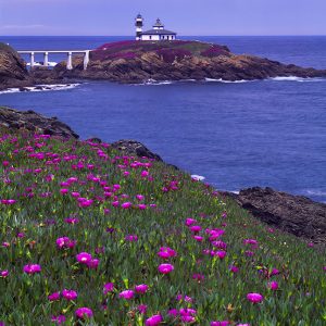 RIBADEO Fotografía Isla Pancha