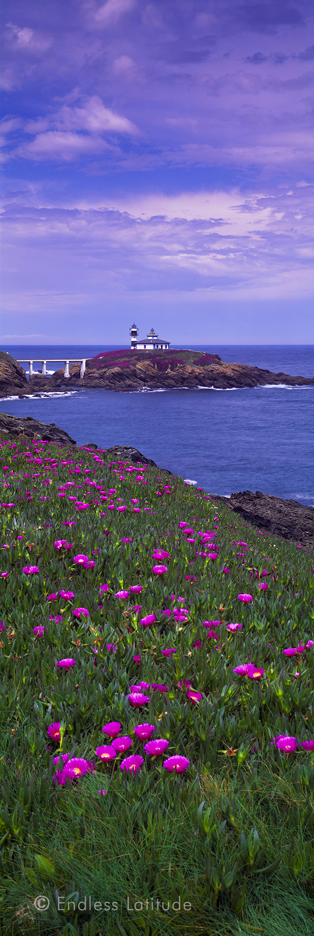 RIBADEO Fotografía Isla Pancha
